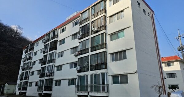 강원특별자치도 삼척시 정상동 455, 다동 1층 102호 (정상동,영진연립) 아파트 경매 물건 이미지