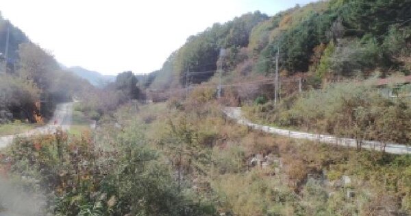 강원특별자치도 화천군 사내면 광덕리 231-18 전 경매 물건 이미지
