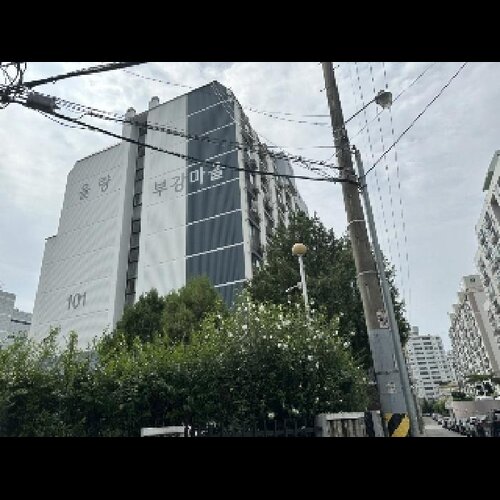 물건 사진