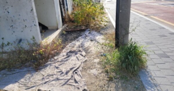 경기도 김포시 고촌읍 신곡리 490-12 전 경매 물건 이미지