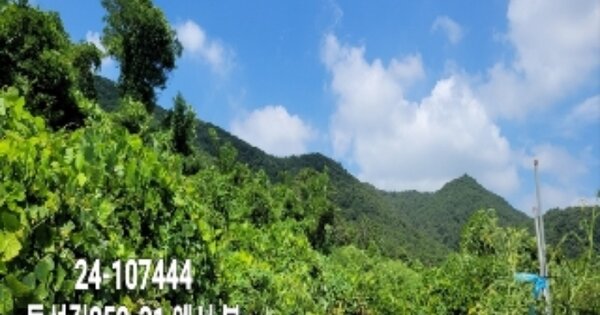 물건 대표 이미지