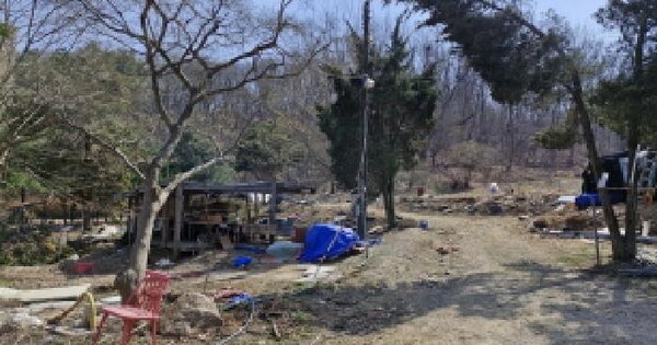 경기도 안산시 상록구 월피동 238 전 경매 물건 이미지