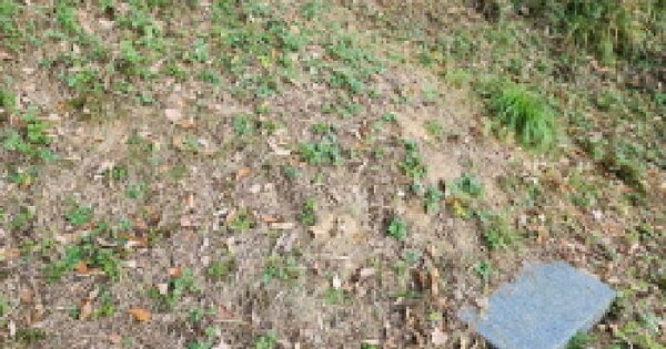 경상북도 칠곡군 북삼읍 오평리 산4-1 임야 경매 물건 이미지