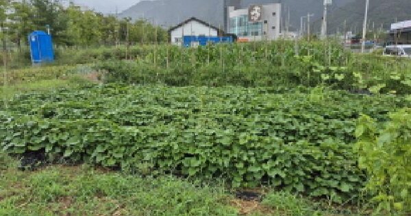 울산광역시 북구 호계동 1036-2 대지 경매 물건 이미지