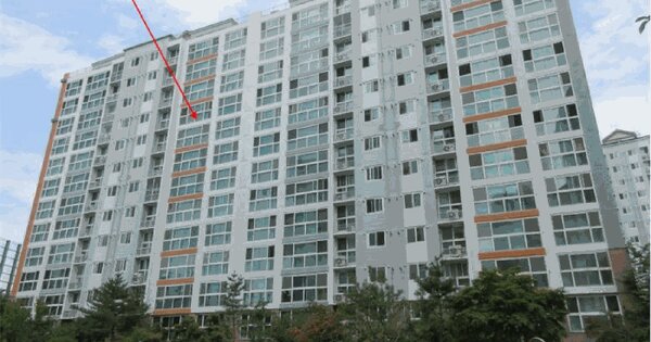 광주광역시 서구 풍암동 929-2 광명메이루즈 제105동 제10층 제1003호 아파트 경매 물건 이미지