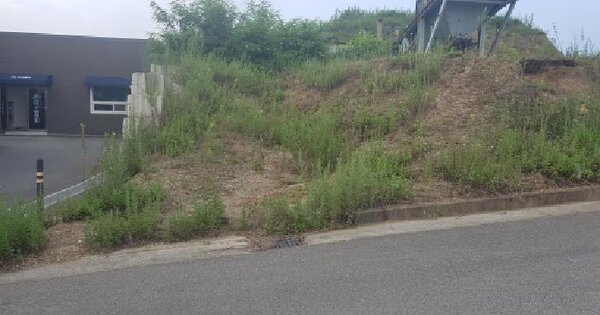 충청남도 천안시 동남구 수신면 속창리 200-28 임야 경매 물건 이미지