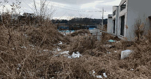 충청남도 논산시 양촌면 반곡리 399 전 경매 물건 이미지