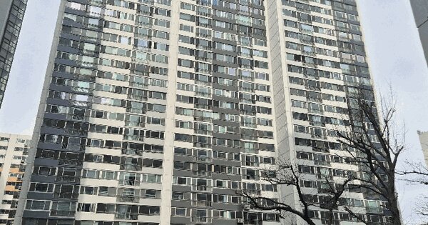 부산광역시 사하구 다대동 120-1 다대포현대아파트 114동 13층1304호 아파트 경매 물건 이미지