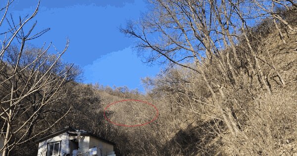 강원특별자치도 춘천시 북산면 물로리 230-1 전 경매 물건 이미지