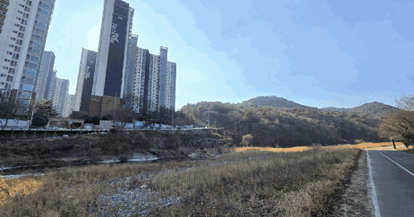 울산광역시 울주군 삼남읍 교동리 산64 임야 경매 물건 이미지