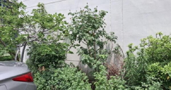 대전광역시 중구 오류동 190-100 대지 경매 물건 이미지