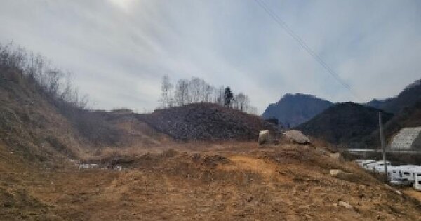 충청북도 옥천군 안내면 방하목리 산25-12 임야 경매 물건 이미지