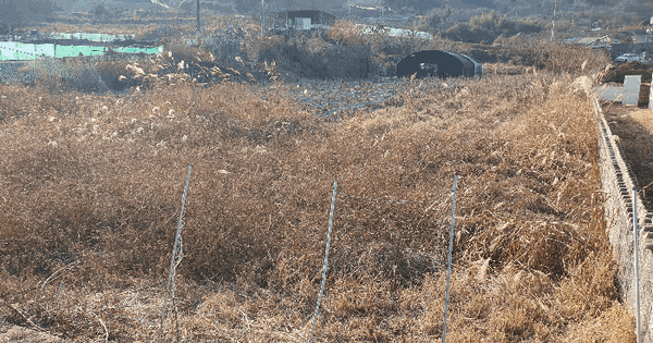 전남광주통합특별시 광양시 진월면 월길리 1152 전 경매 물건 이미지