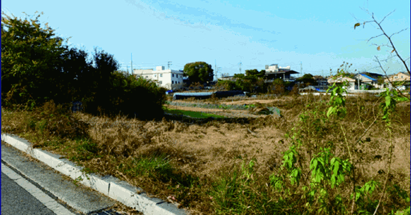 충청남도 논산시 연무읍 동산리 905-1 대지 경매 물건 이미지