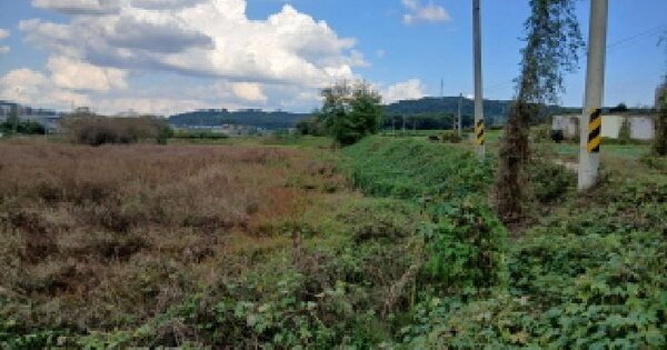 경기도 화성시 만세구 향남읍 상신리 780-4 전 경매 물건 이미지