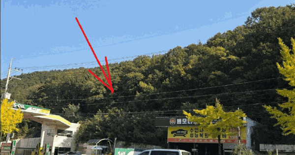 대구광역시 북구 매천동 산88-6 임야 경매 물건 이미지