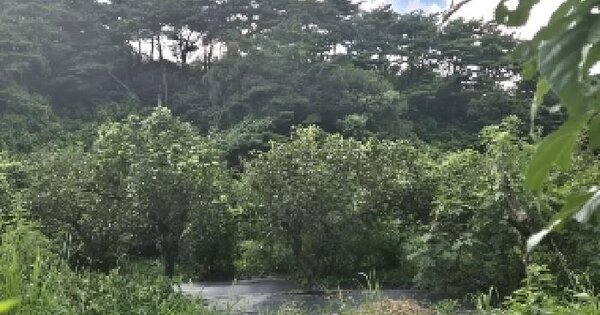 전남광주통합특별시 동구 용산동 593 답 경매 물건 이미지