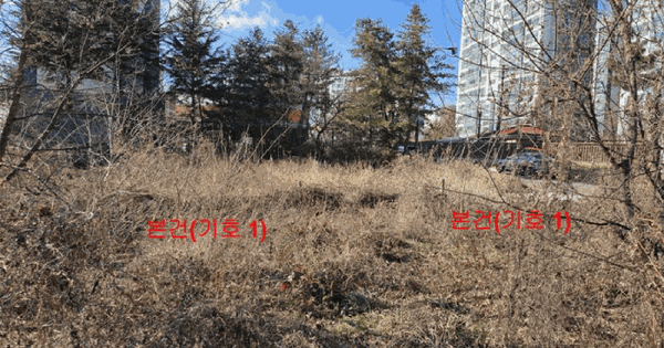 경상남도 거창군 거창읍 가지리 246-9 전 경매 물건 이미지