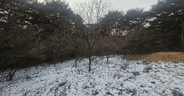 충청남도 서산시 성연면 예덕리 산60 임야 경매 물건 이미지