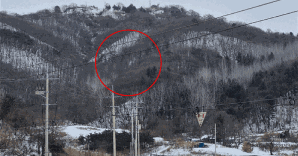 경기도 연천군 군남면 선곡리 산96-2 임야 경매 물건 이미지