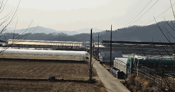 경상북도 김천시 조마면 신안리 439 답 경매 물건 이미지