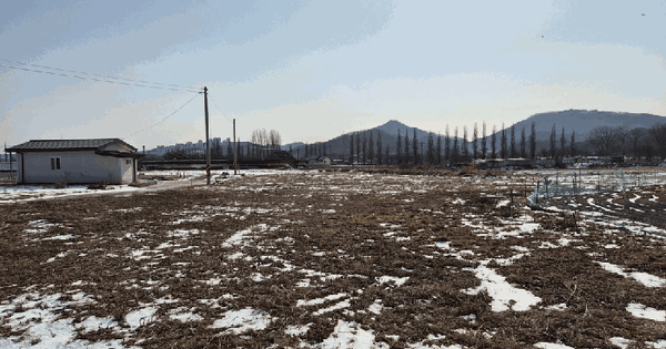 충청북도 진천군 진천읍 장관리 643-1 대지 경매 물건 이미지