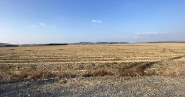 충청남도 태안군 남면 양잠리 1282-8 답 경매 물건 이미지