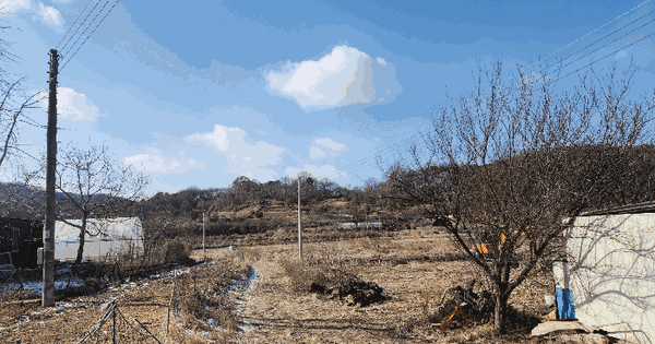 충청남도 천안시 동남구 광덕면 신흥리 181-1 답 경매 물건 이미지