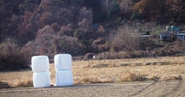 경상남도 밀양시 초동면 덕산리 1292 답 경매 물건 이미지