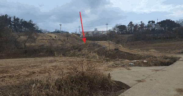 충청남도 아산시 신창면 신곡리 103 전 경매 물건 이미지