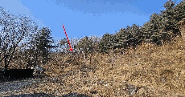 경기도 남양주시 진접읍 내각리 산70-2 임야 경매 물건 이미지