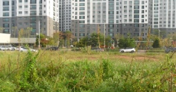 충청남도 서산시 예천동 432-5 대지 경매 물건 이미지