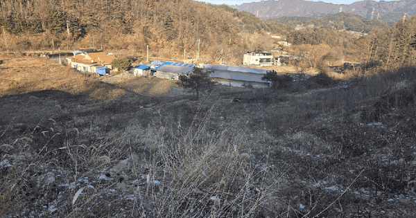 경기도 가평군 설악면 방일리 520-11 임야 경매 물건 이미지