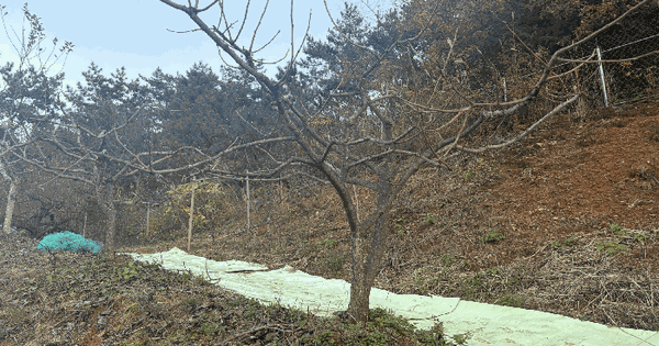 경상남도 창원시 마산합포구 구산면 마전리 75-1 전 경매 물건 이미지