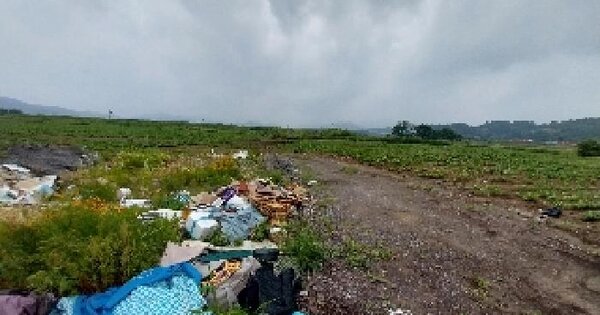 충청남도 공주시 우성면 방문리 169-13 임야 경매 물건 이미지