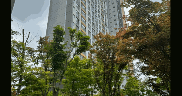 경기도 화성시 목동 489 동탄동원로얄듀크2차 2007동 9층903호 아파트 경매 물건 이미지
