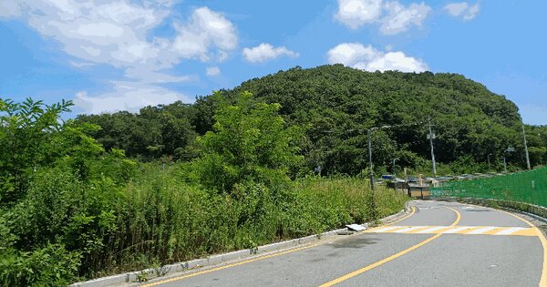 경상북도 구미시 거의동 산88-2 임야 경매 물건 이미지