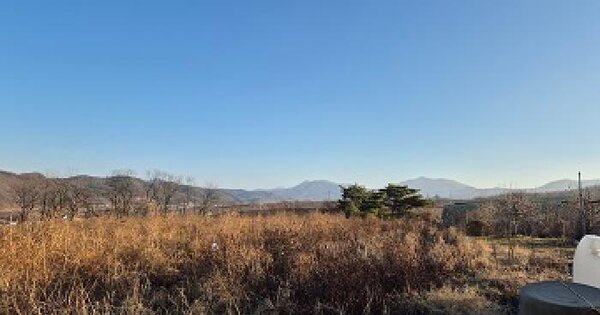 경상북도 청송군 진보면 시량리 295-1 전 경매 물건 이미지