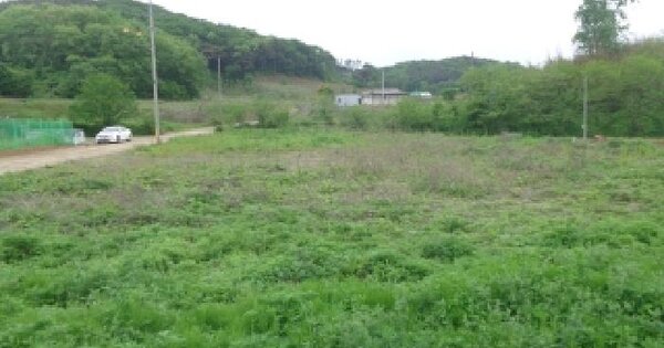 충청남도 서산시 팔봉면 흑석리 325-4 답 경매 물건 이미지