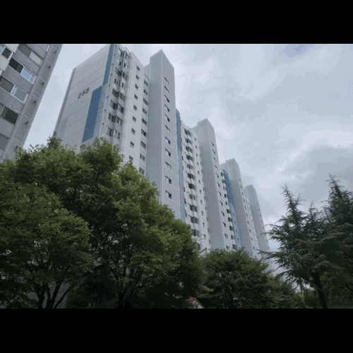 물건 사진