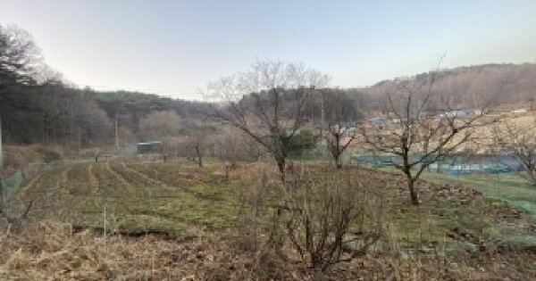 충청남도 서산시 부석면 지산리 산275-6 임야 경매 물건 이미지