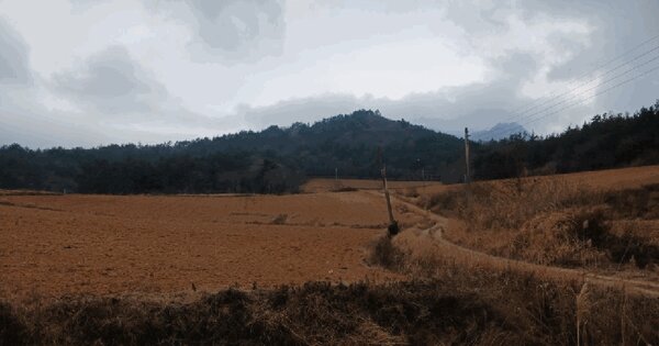 전라남도 해남군 북일면 만수리 산31 임야 경매 물건 이미지