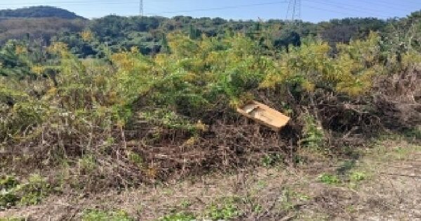 부산광역시 기장군 장안읍 오리 산92-11 임야 경매 물건 이미지