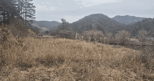 충청북도 청주시 상당구 미원면 금관리 산53 임야 경매 물건 이미지
