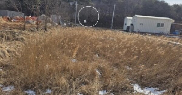 경기도 화성시 만세구 서신면 제부리 288-39 답 경매 물건 이미지