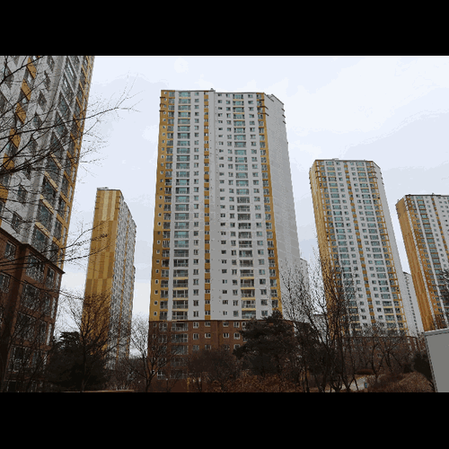 물건 사진