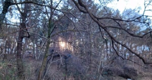 전남광주통합특별시 남구 봉선동 589-3 유지 경매 물건 이미지