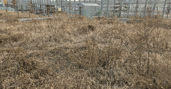 경기도 시흥시 거모동 1866 대지 경매 물건 이미지