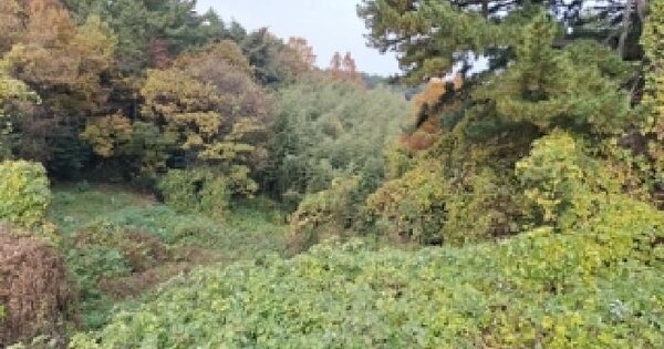 경상남도 남해군 설천면 문항리 457 전 경매 물건 이미지