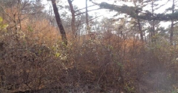 전북특별자치도 진안군 주천면 대불리 산9-24 임야 경매 물건 이미지